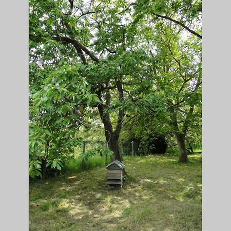Miller'S Farm. Cottage On The Auhtie For 2 Hem-Hardinval Екстериор снимка